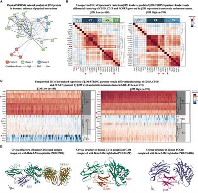 Epigenetic control of CD1D expression as a mechanism of resistance to immune checkpoint therapy in poorly immunogenic melanomas